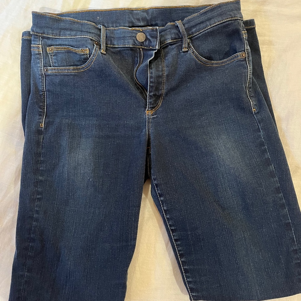 Blue Gap True Skinny High Rise Jeans --> single pair